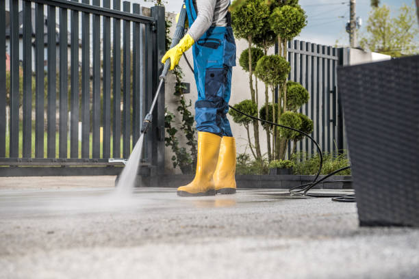 Best Sidewalk Pressure Washing  in Robersonville, NC