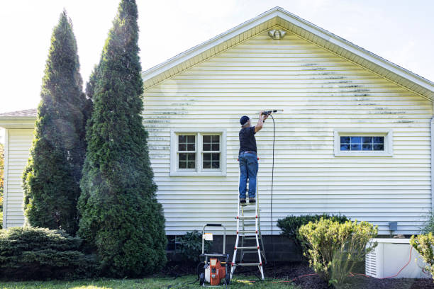 Best Roof Pressure Washing  in Robersonville, NC