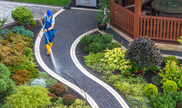 Best Local Pressure Washing Services  in Robersonville, NC