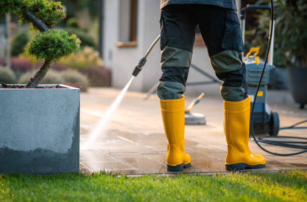 Best Pressure Washing Near Me  in Robersonville, NC